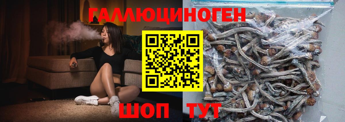 Псилоцибиновые грибы Psilocybine cubensis  Вход с VPN  Вологда 